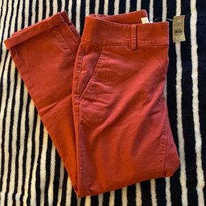 NWT Loft Girlfriend Chino Trouser Burgundy Size 0P